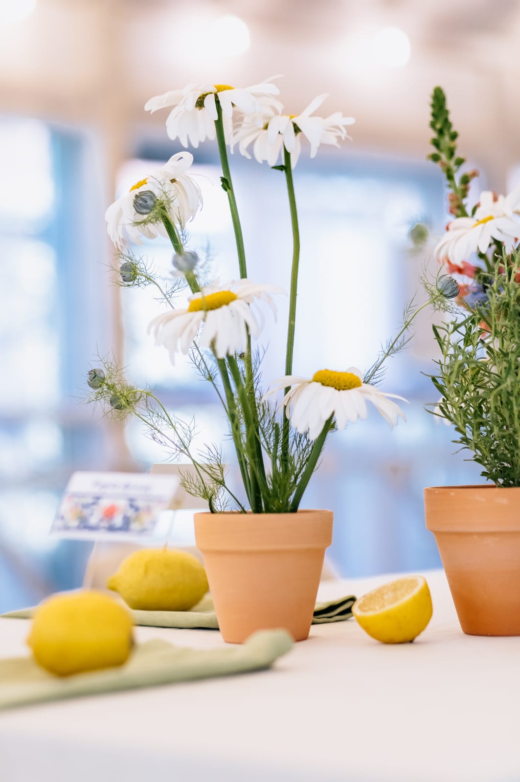 Garden Glass