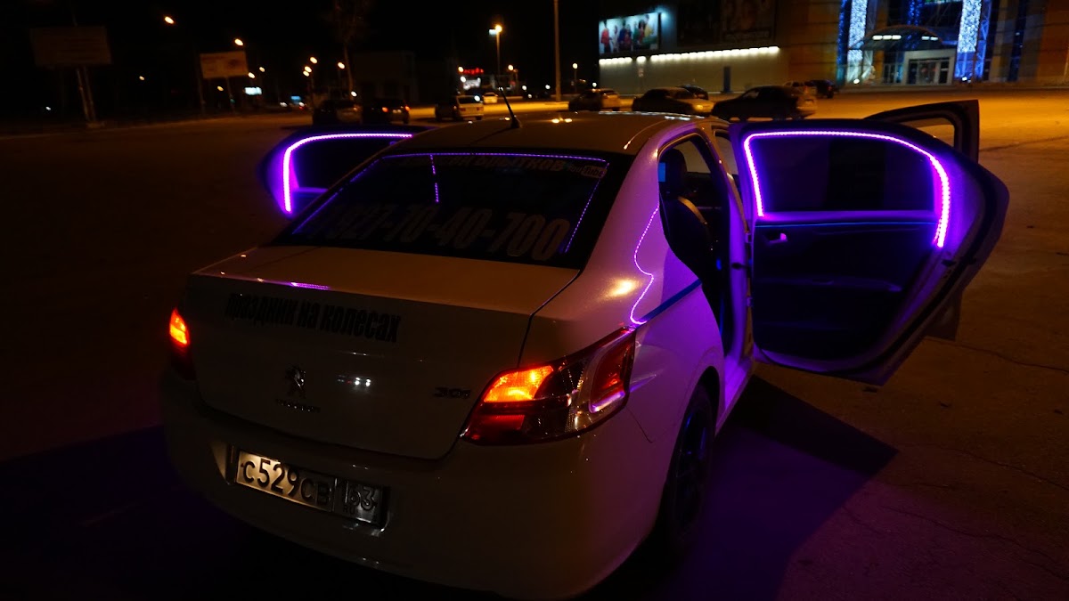peugeot 301