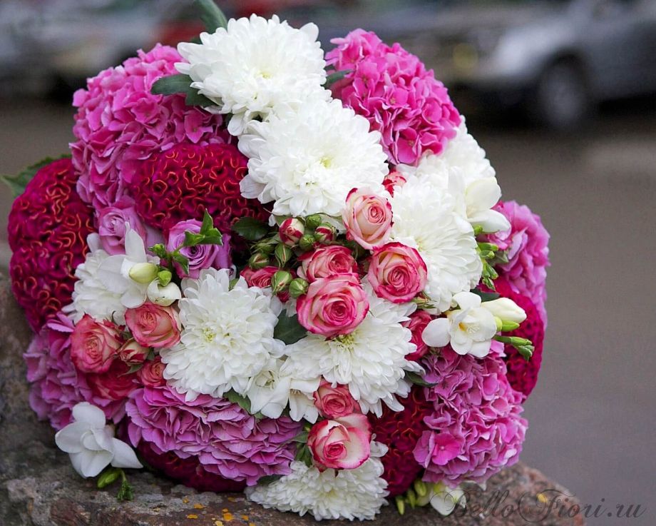 Bellofiori