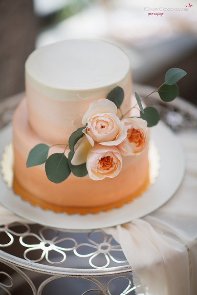 Davlovecakes — кадр 3 из 34