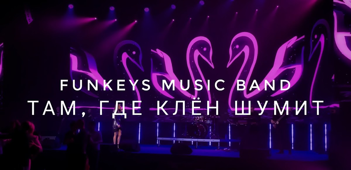 Расширенный состав. Кавер-группа на свадьбу Нижний Новгород Funkeys Music Band