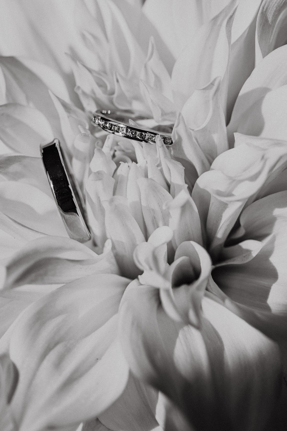 WedD