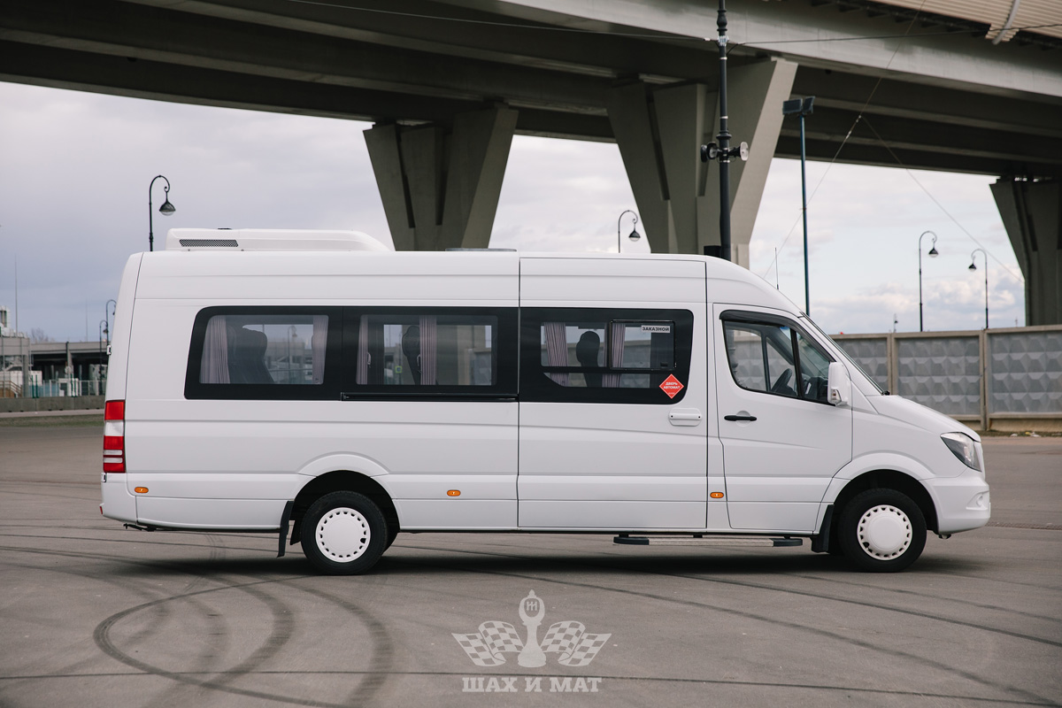 Mercedes Sprinter  VIP (салон-кожа) — кадр 3 из 9