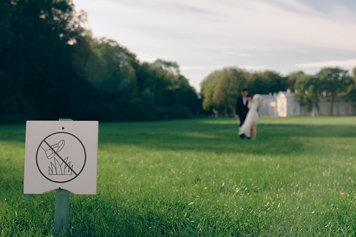 Ready Steady Wedding