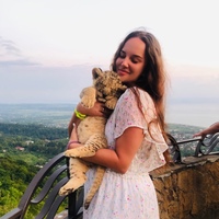 Polina Vlasova