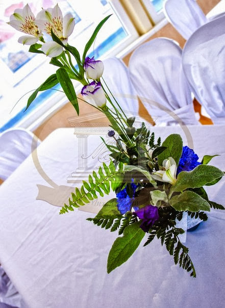 Фотографии