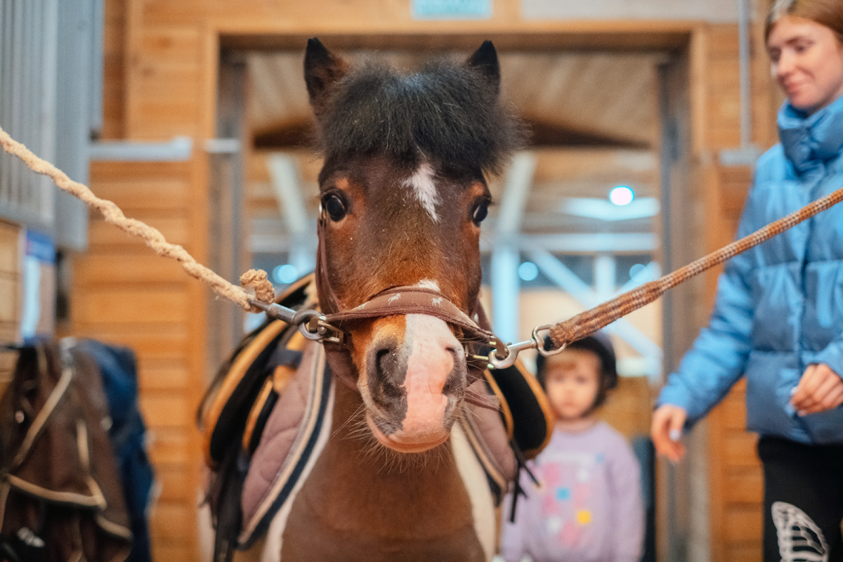 Загородный отель Horseka Resort
