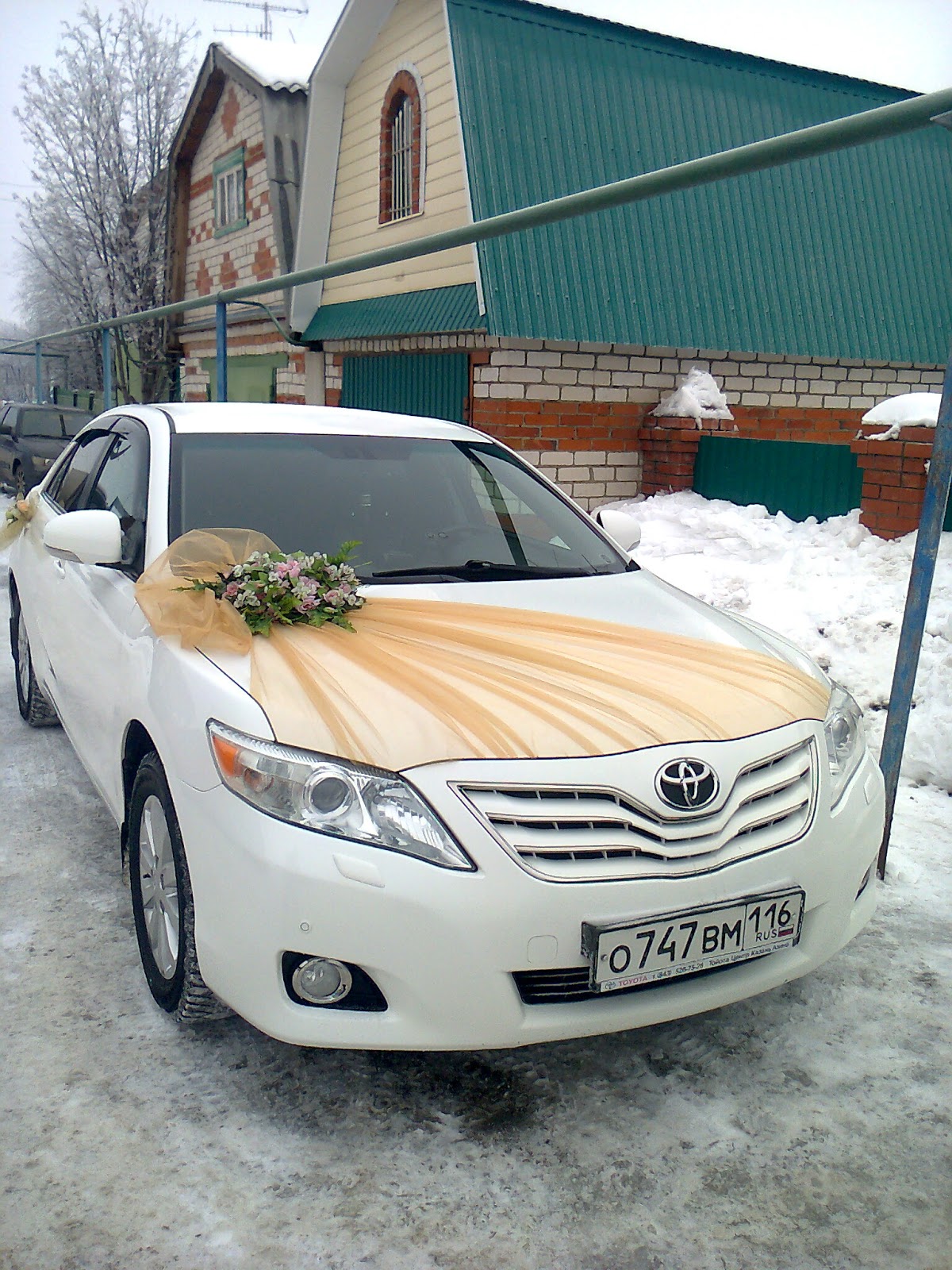 Портфолио