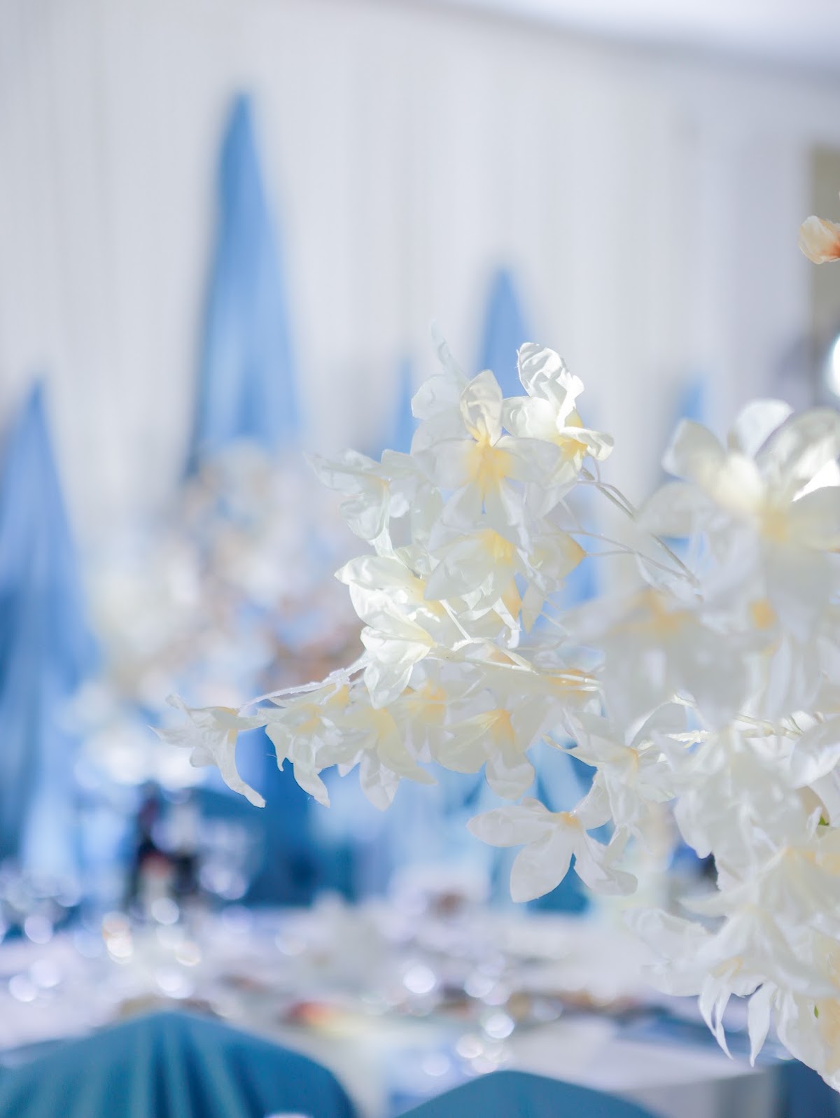 Дворец мечты — кадр 5 из 120
