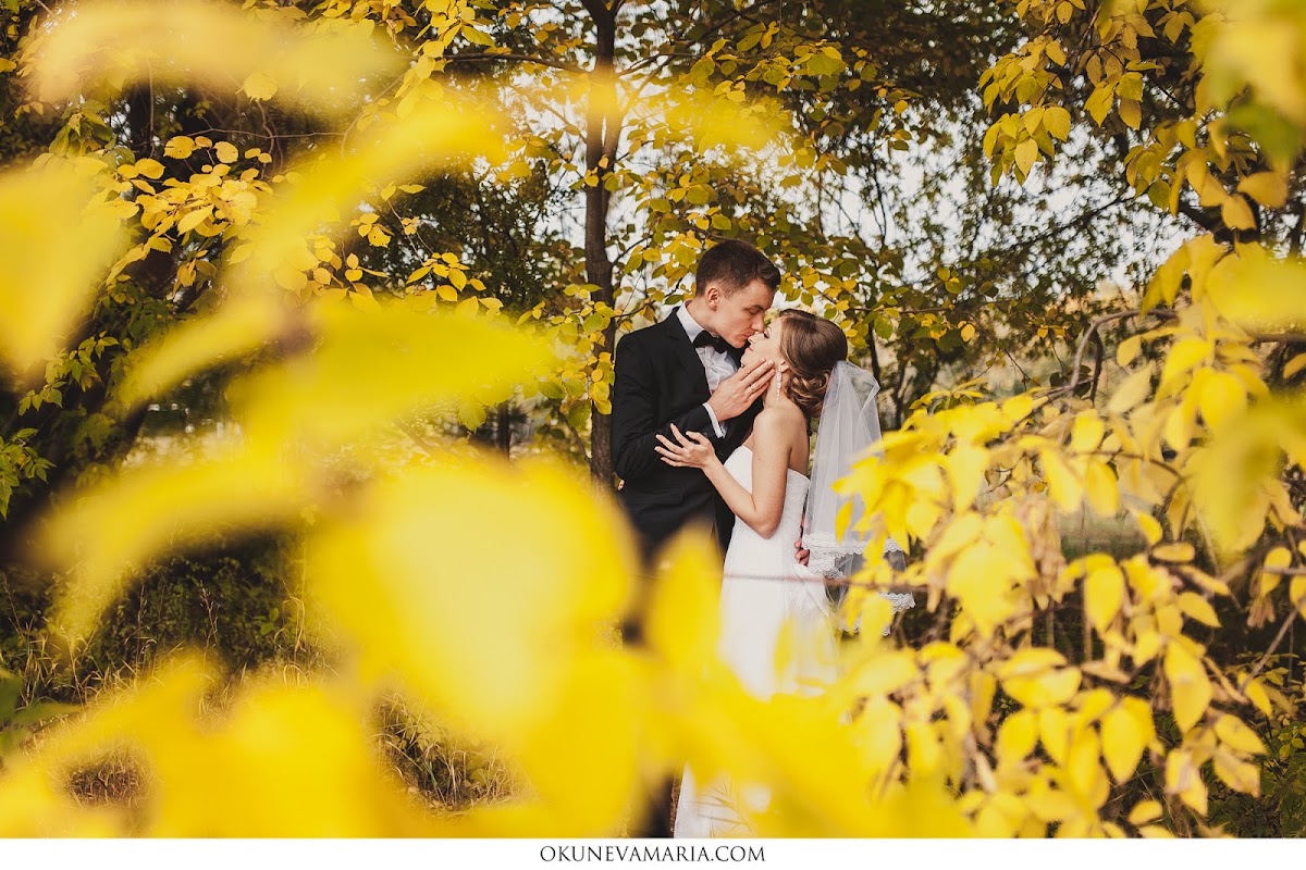 Кадр 51 из 97