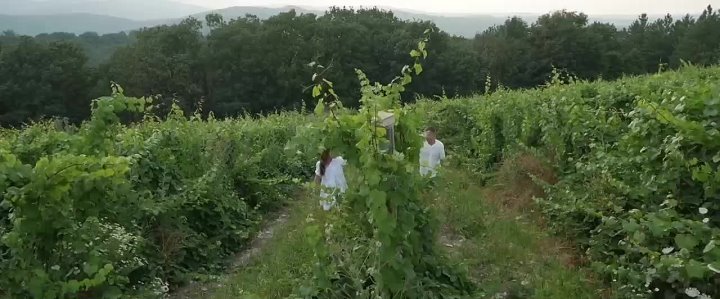 Алексей Деружко