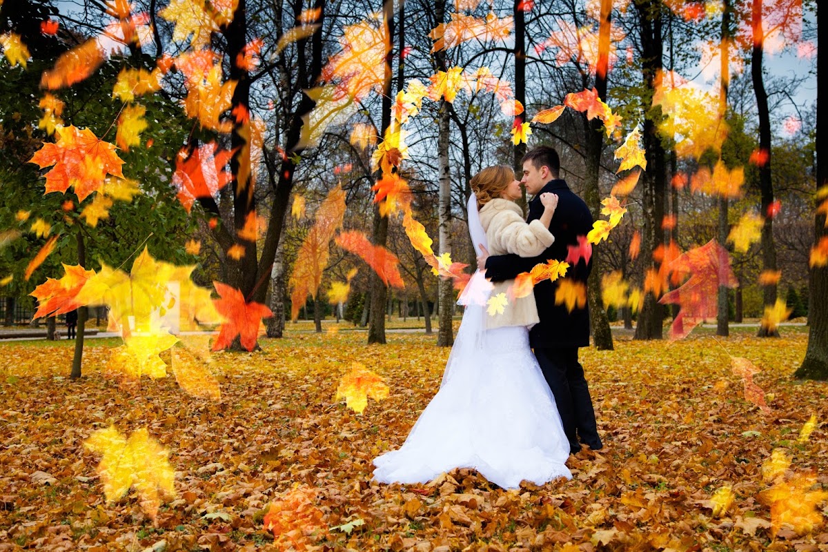 Портфолио: Love story