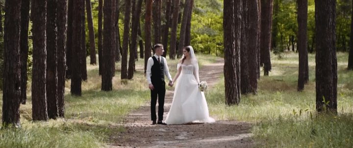 Портфолио: Свадьба