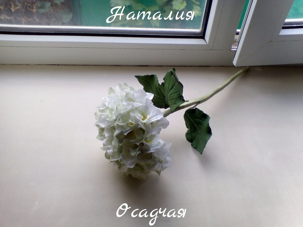 Портфолио