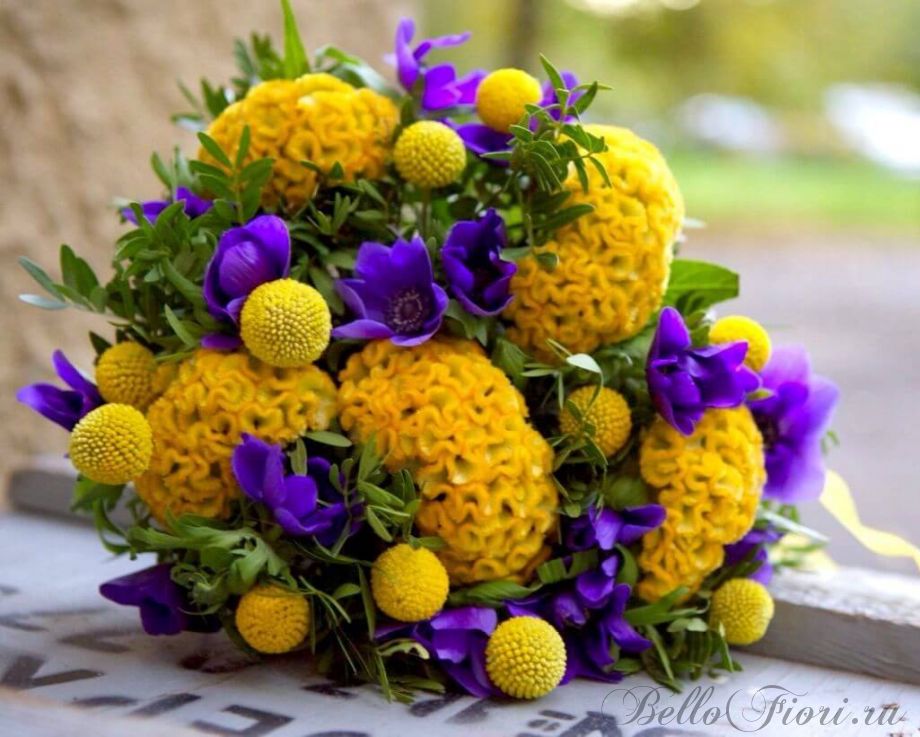 Bellofiori