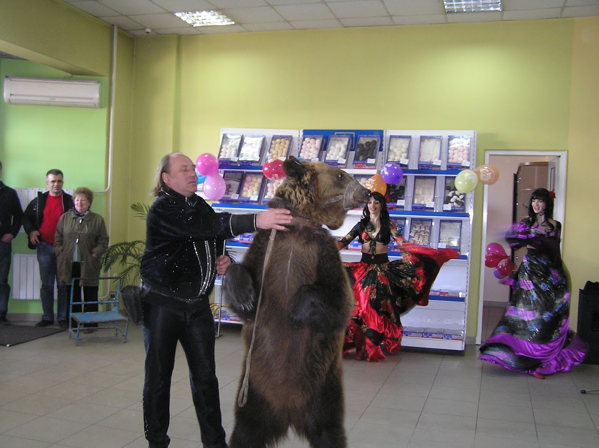 КРЦ Альберт шоу