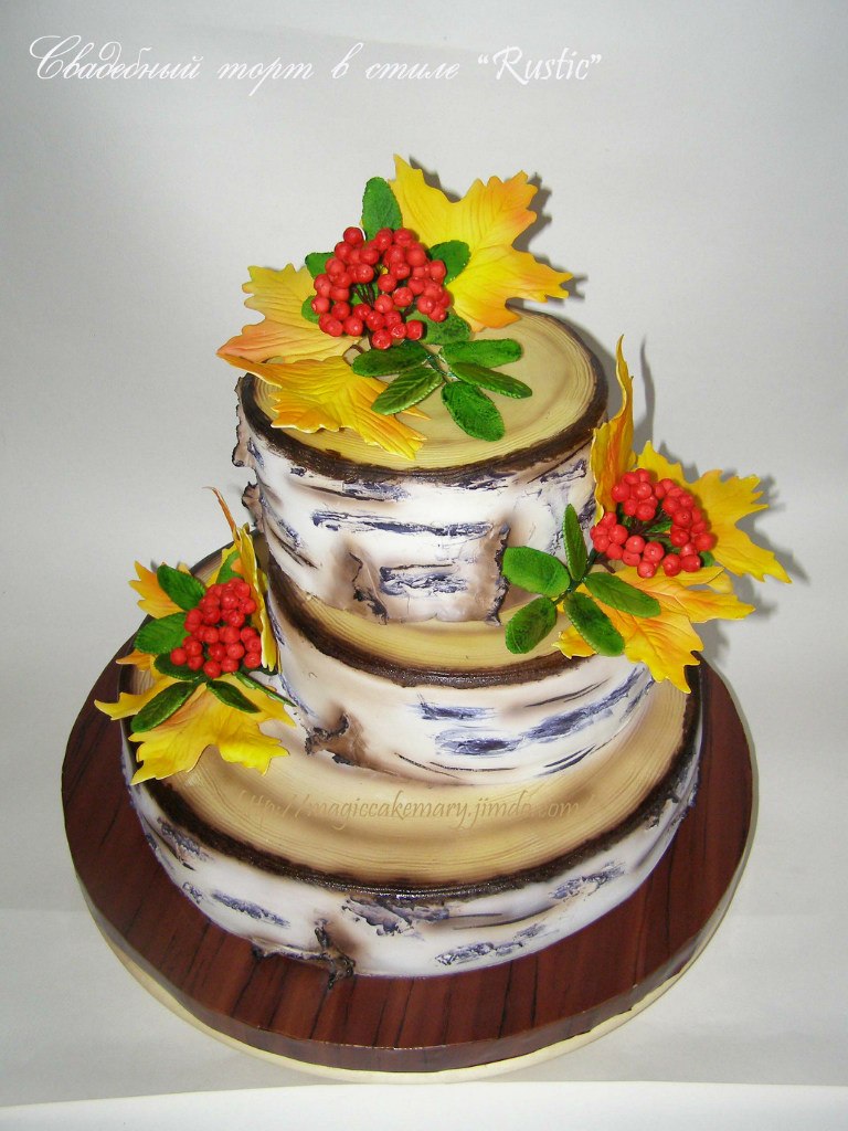 Фотографии