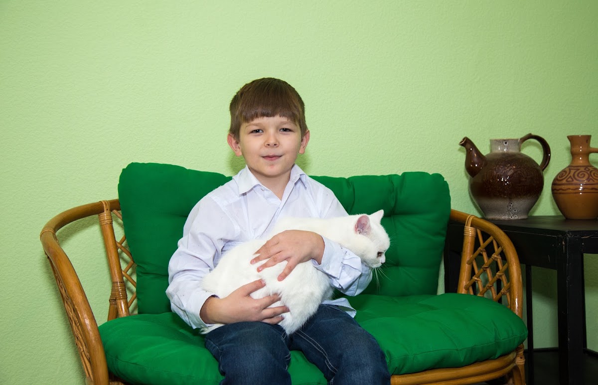Фольга