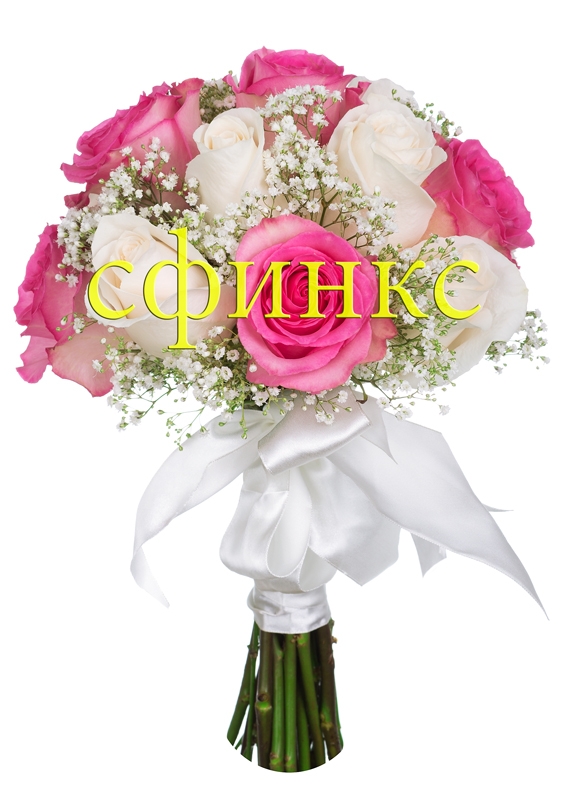 Портфолио