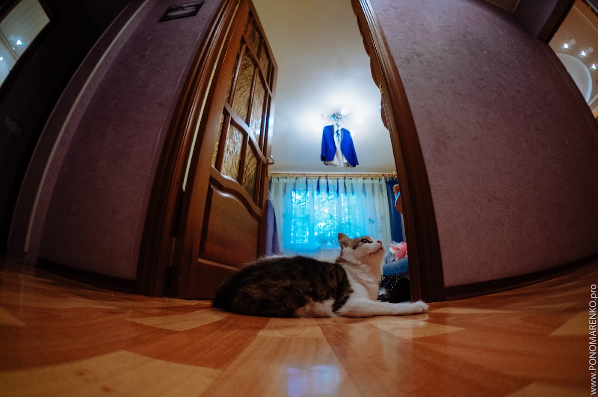 Свадебный отчёт