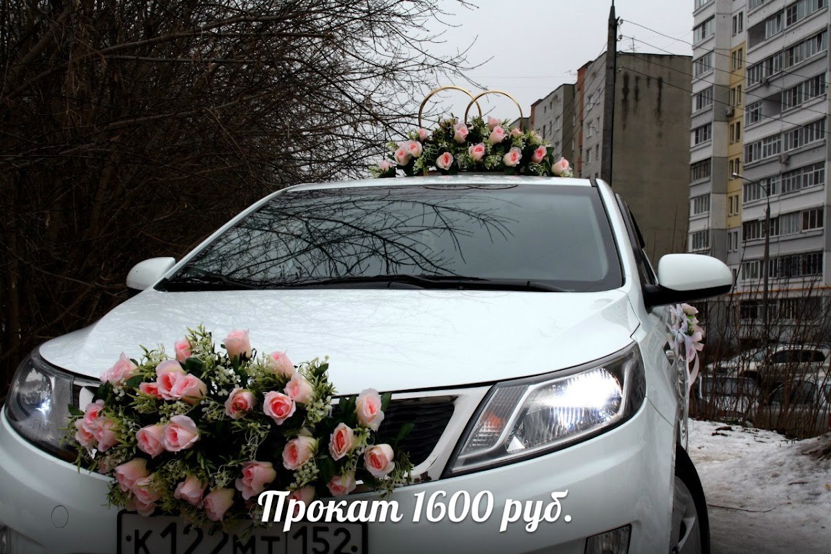 Кадр 186 из 196