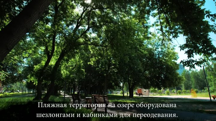 Портфолио: Реклама