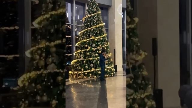 Видео