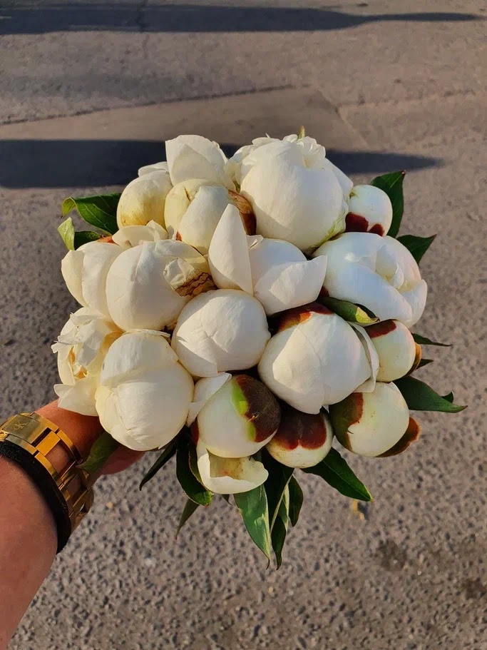 Букеты