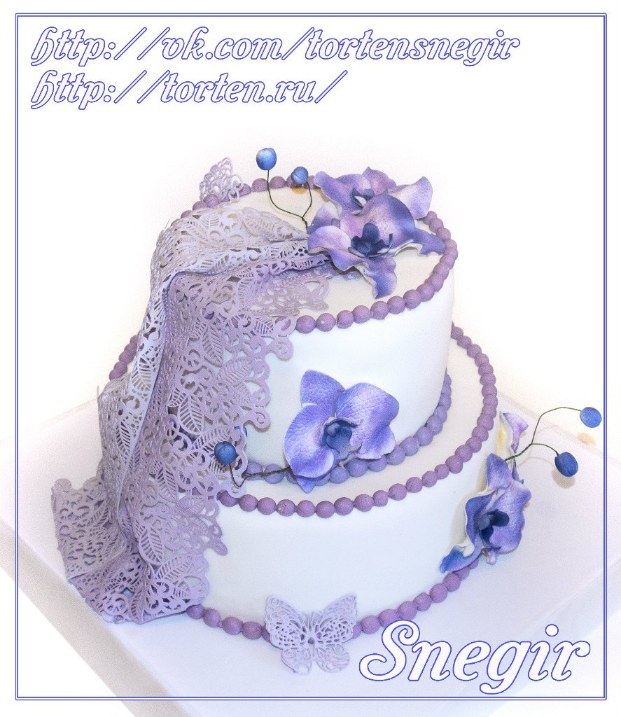 Портфолио