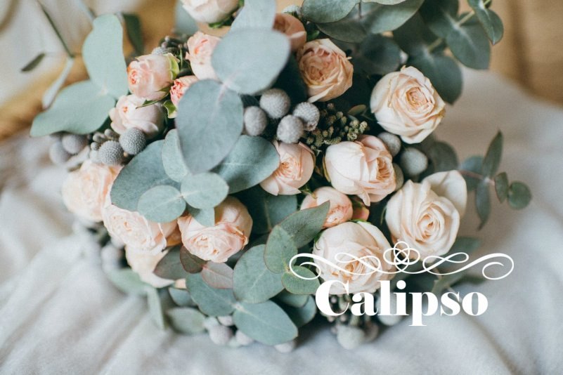 Calipso — кадр 5 из 16