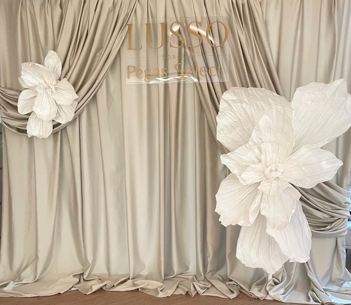 Dragon Decor — кадр 5 из 13