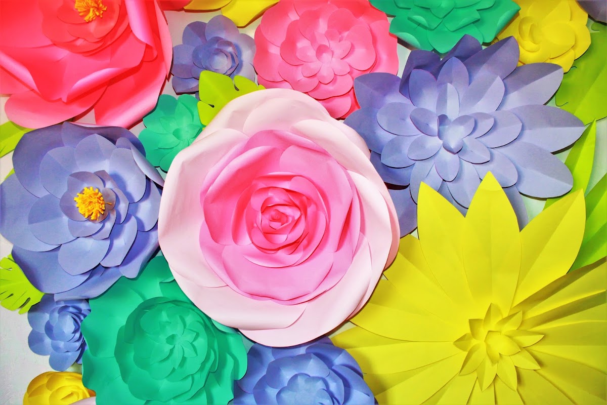 Кадр 32 из 69