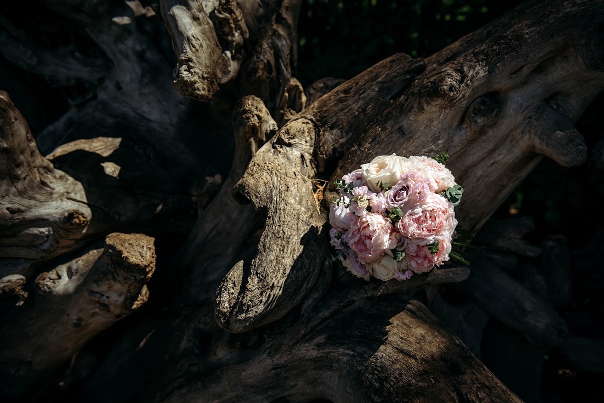 Si_wedding_project — кадр 2 из 13