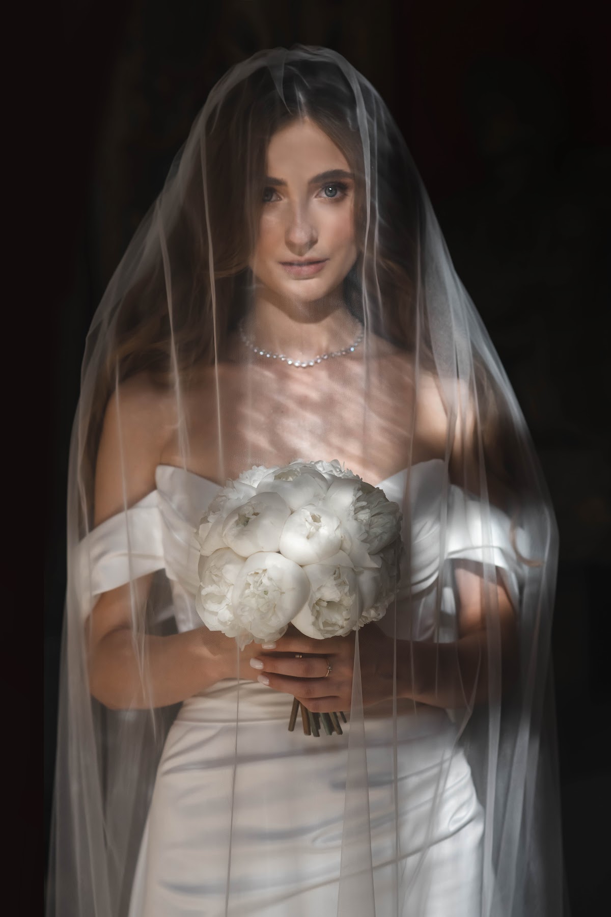 Елена Котова