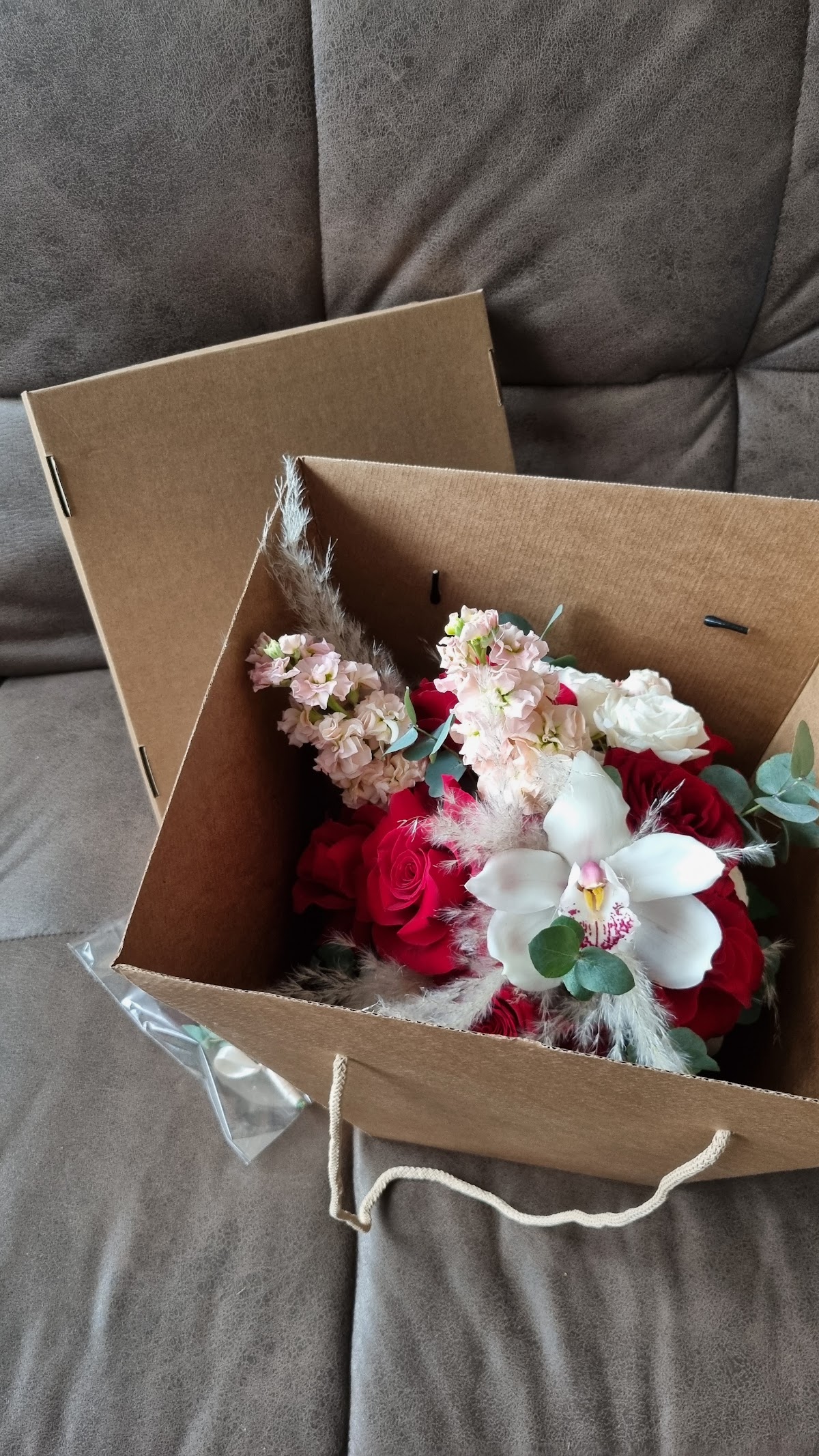Портфолио