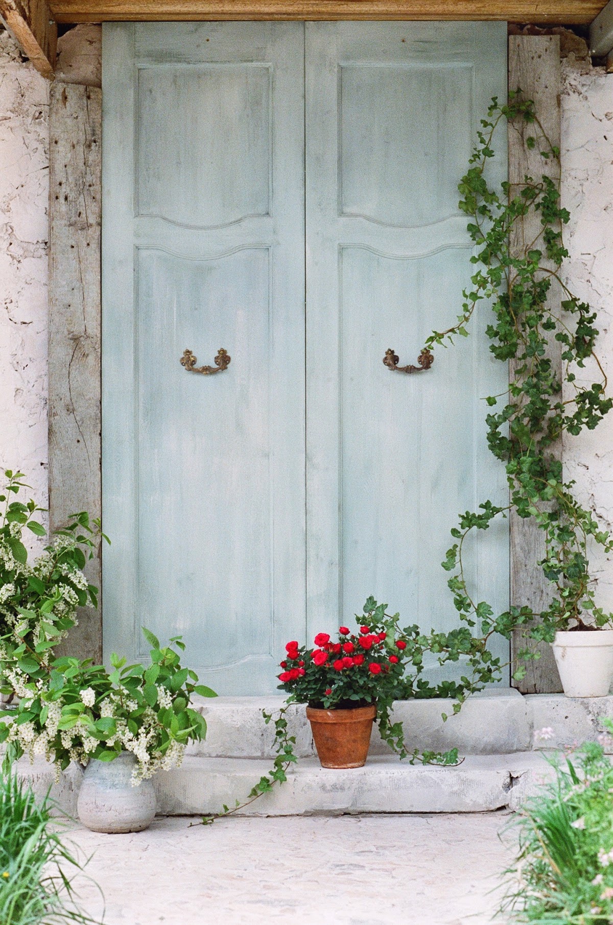 Magnifique jardin