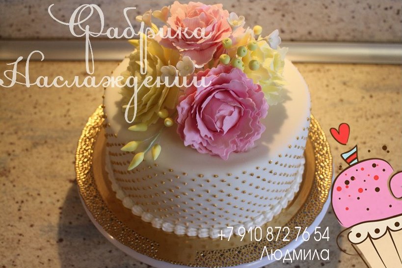 Портфолио