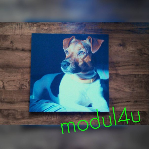 Модульная мастерская Modul4u