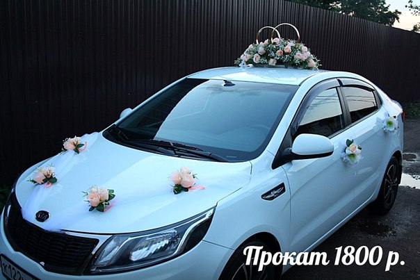 Кадр 127 из 196