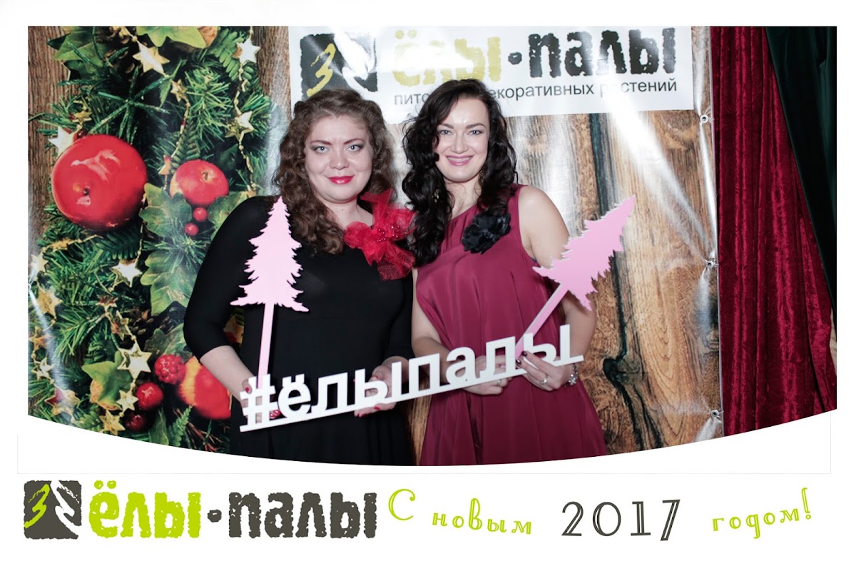 Корпоратив "ЕЛЫ ПАЛЫ"