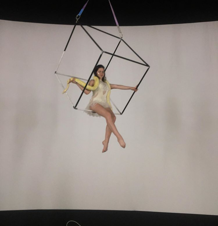 Фотографии