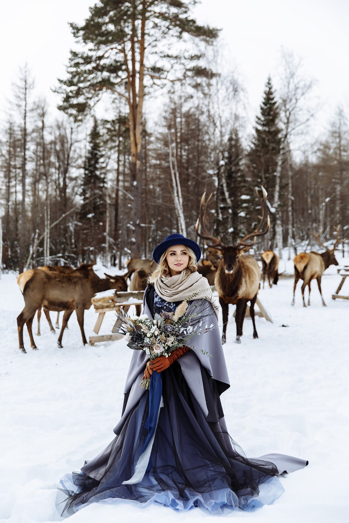 trip to the deer