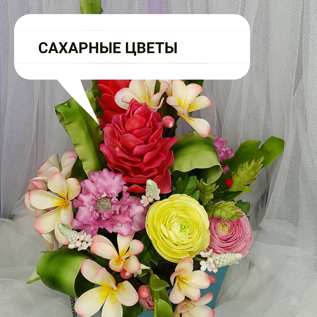Наталья Блохина — кадр 5 из 21