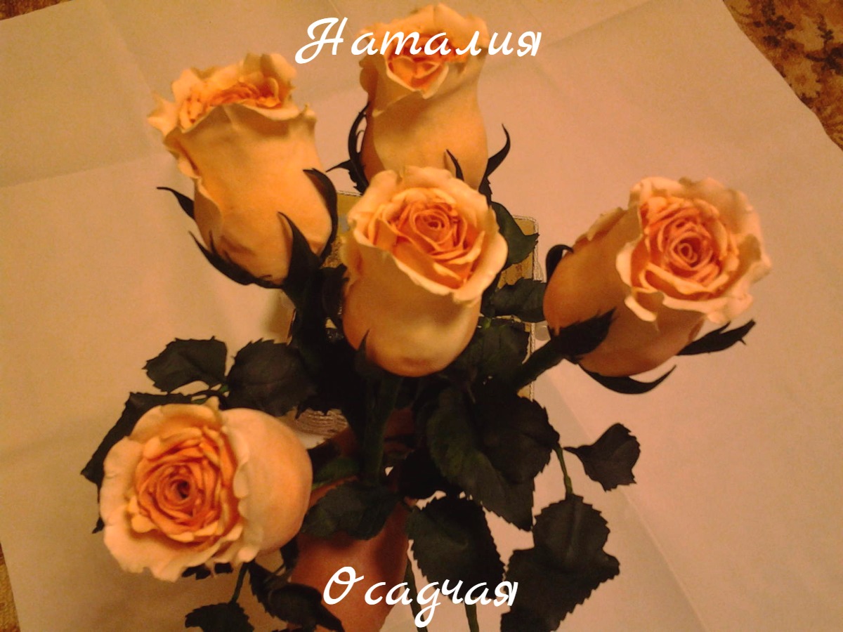 Кадр 69 из 103