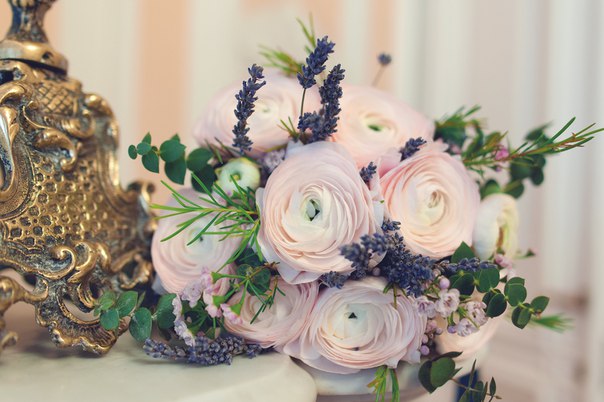Honey Tree Decor Studio