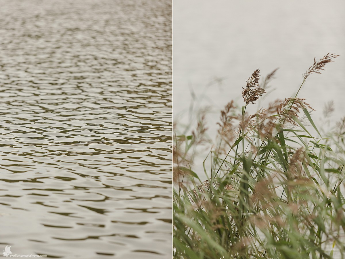 Свадебный отчёт