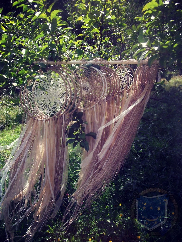 Фотографии