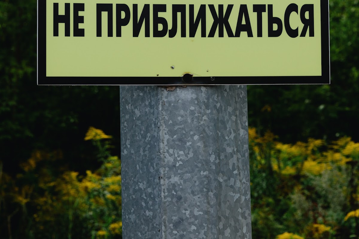 Дарья и Александр