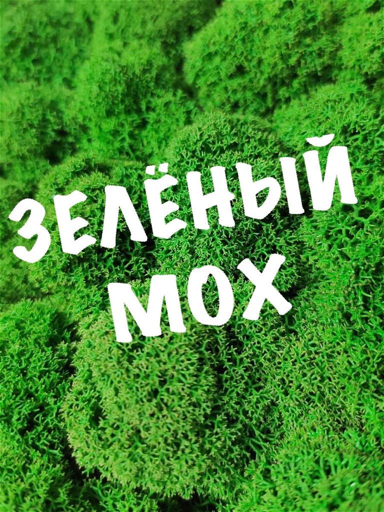 Фотографии