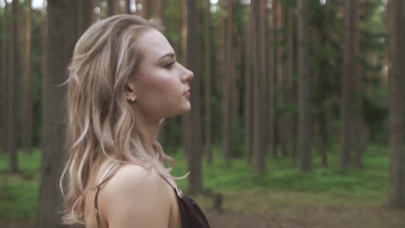 Клипы